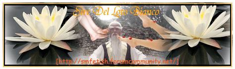 sire loto bianco